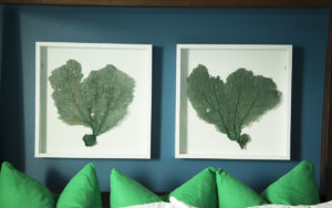 Blue and white and green guest room, bedroom, coastal, sea fans, blue walls, cozy guest room