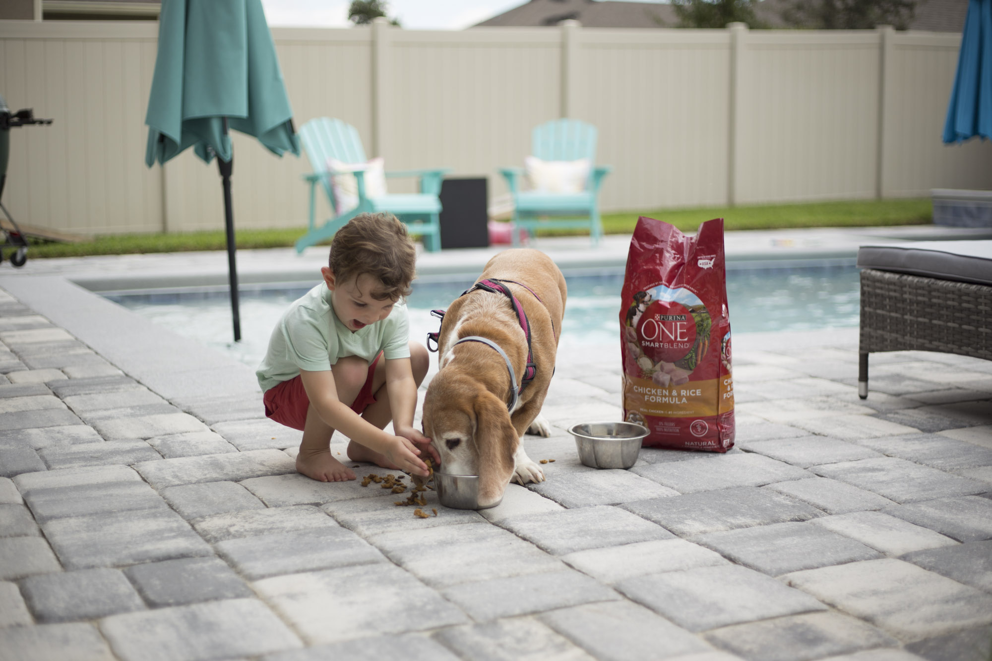 Florida family & lifestyle blogger, MikaelaJ, shares tips for keeping your pet happy and healthy! Check out this senior dog food! 